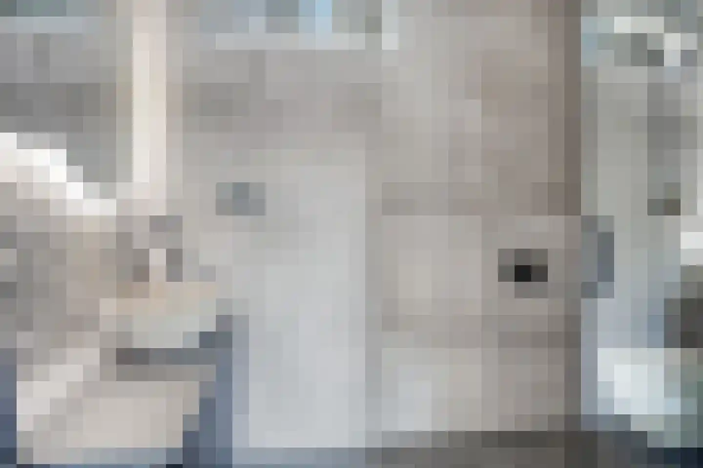 Keizershof 3 Enter thumbnail 21