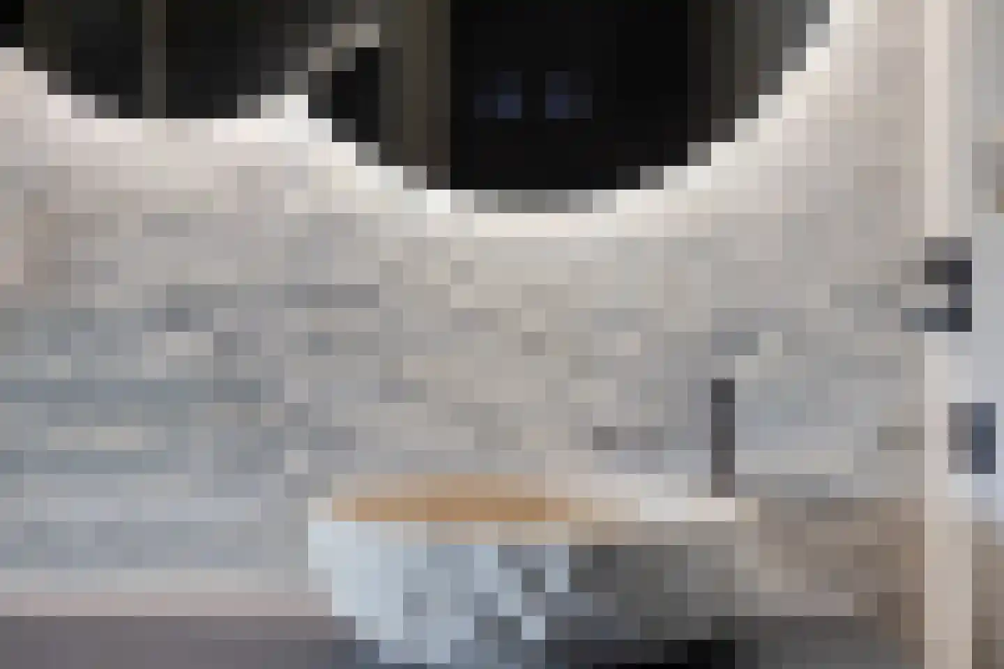 Keizershof 3 Enter thumbnail 22