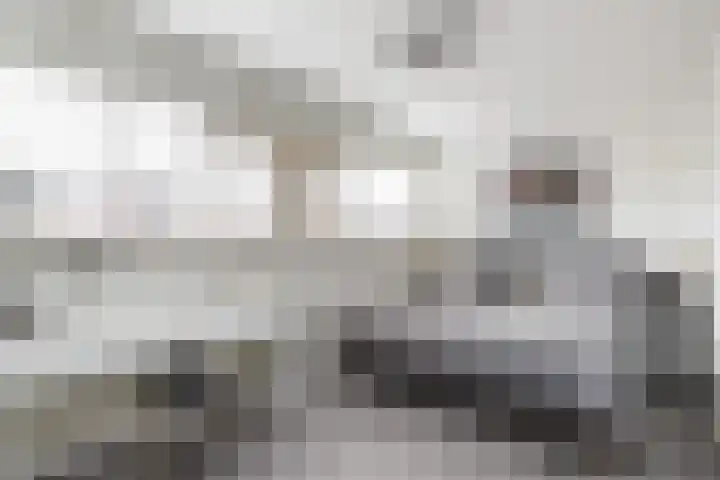 Keizershof 31 Harmelen thumbnail 13