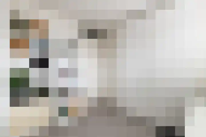 Keizershof 31 Harmelen thumbnail 14