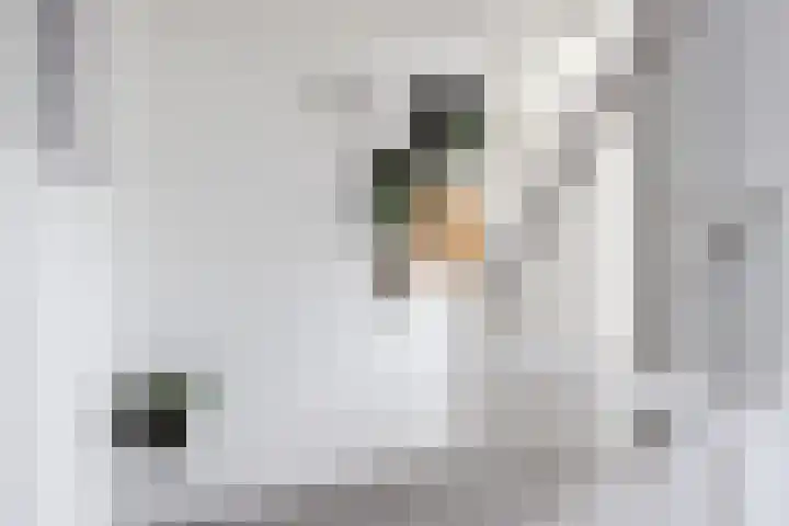 Keizershof 31 Harmelen thumbnail 18