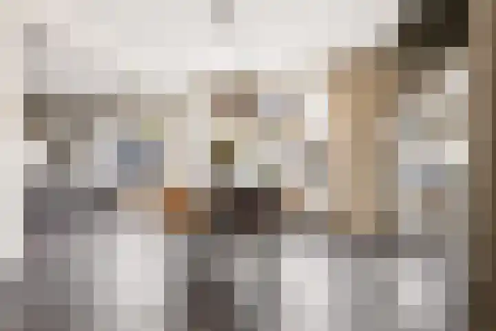 Keizershof 322 Uden thumbnail 13