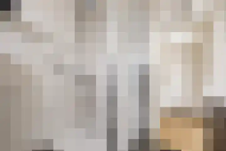 Keizershof 322 Uden thumbnail 28