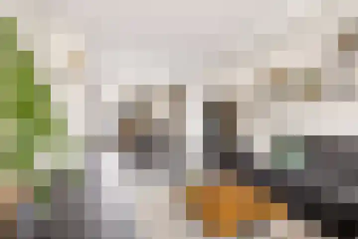 Keizershof 322 Uden thumbnail 8