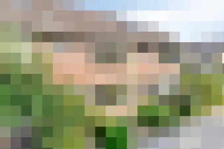 Keizershof 520 Uden thumbnail 11