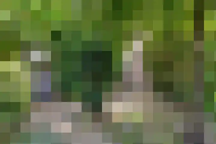 Keizershof 520 Uden thumbnail 34
