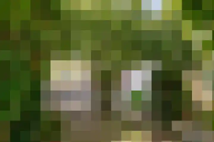 Keizershof 520 Uden thumbnail 35