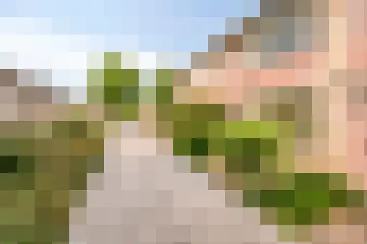 Keizershof 520 Uden thumbnail 8
