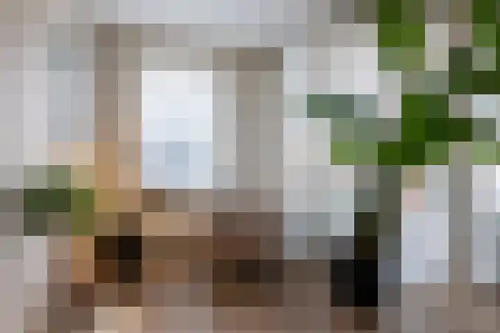 Keizershof 6 Enter thumbnail 12