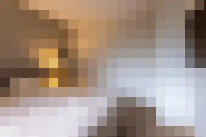 Keizershof 6 Enter thumbnail 20