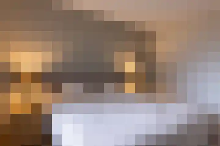 Keizershof 6 Enter thumbnail 22