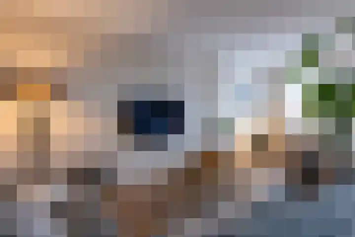 Keizershof 6 Enter thumbnail 6