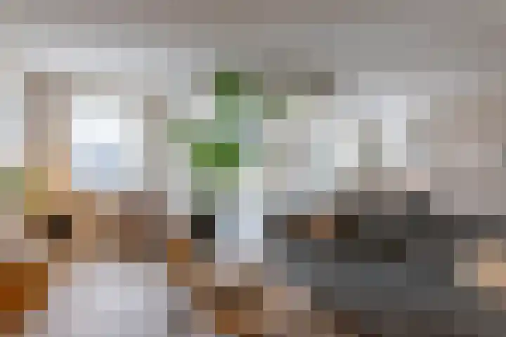 Keizershof 6 Enter thumbnail 7