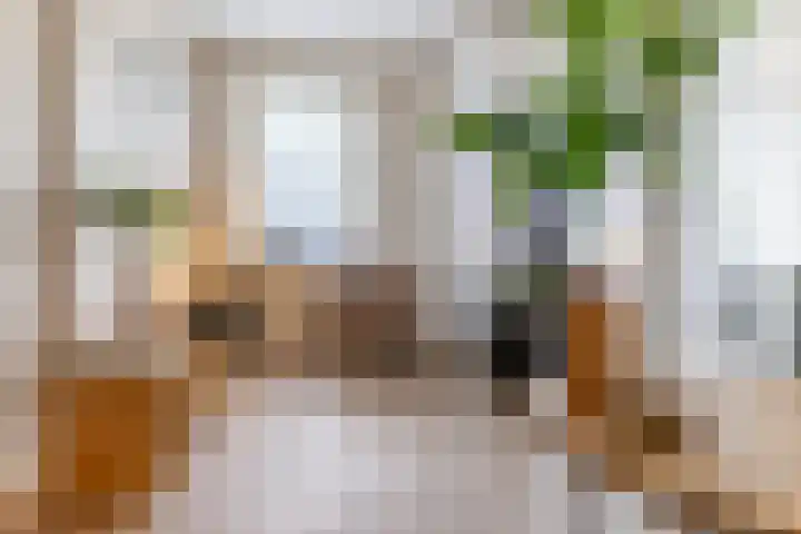 Keizershof 6 Enter thumbnail 8