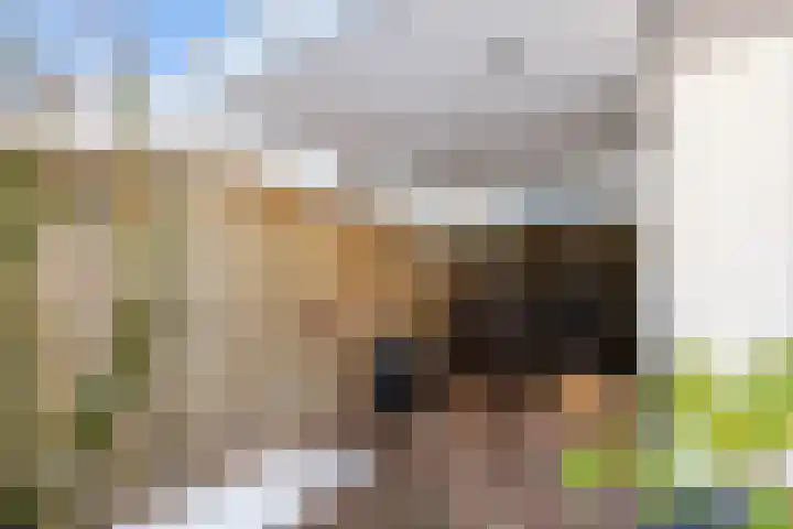 Keizershof 613 Uden thumbnail 46