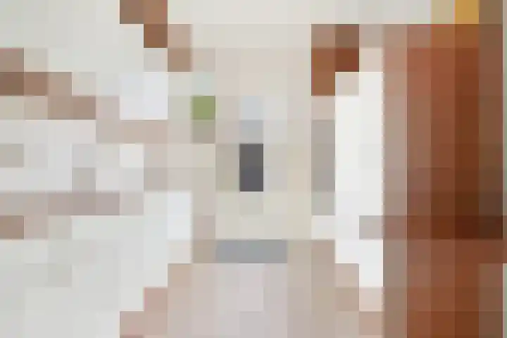 Keizershof 720 Uden thumbnail 12