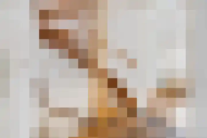 Keizershof 720 Uden thumbnail 15