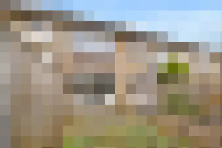 Keizershof 720 Uden thumbnail 36