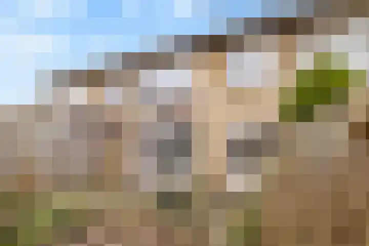 Keizershof 720 Uden thumbnail 37
