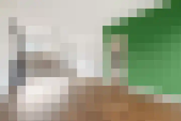 Keizershof 720 Uden thumbnail 6