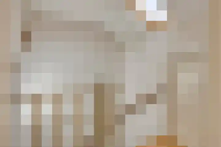 Keizershof 723 Uden thumbnail 28