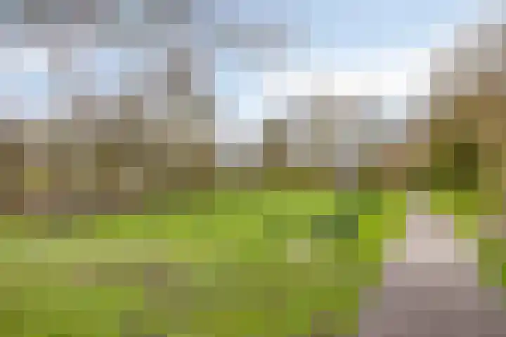Keizershof 723 Uden thumbnail 37