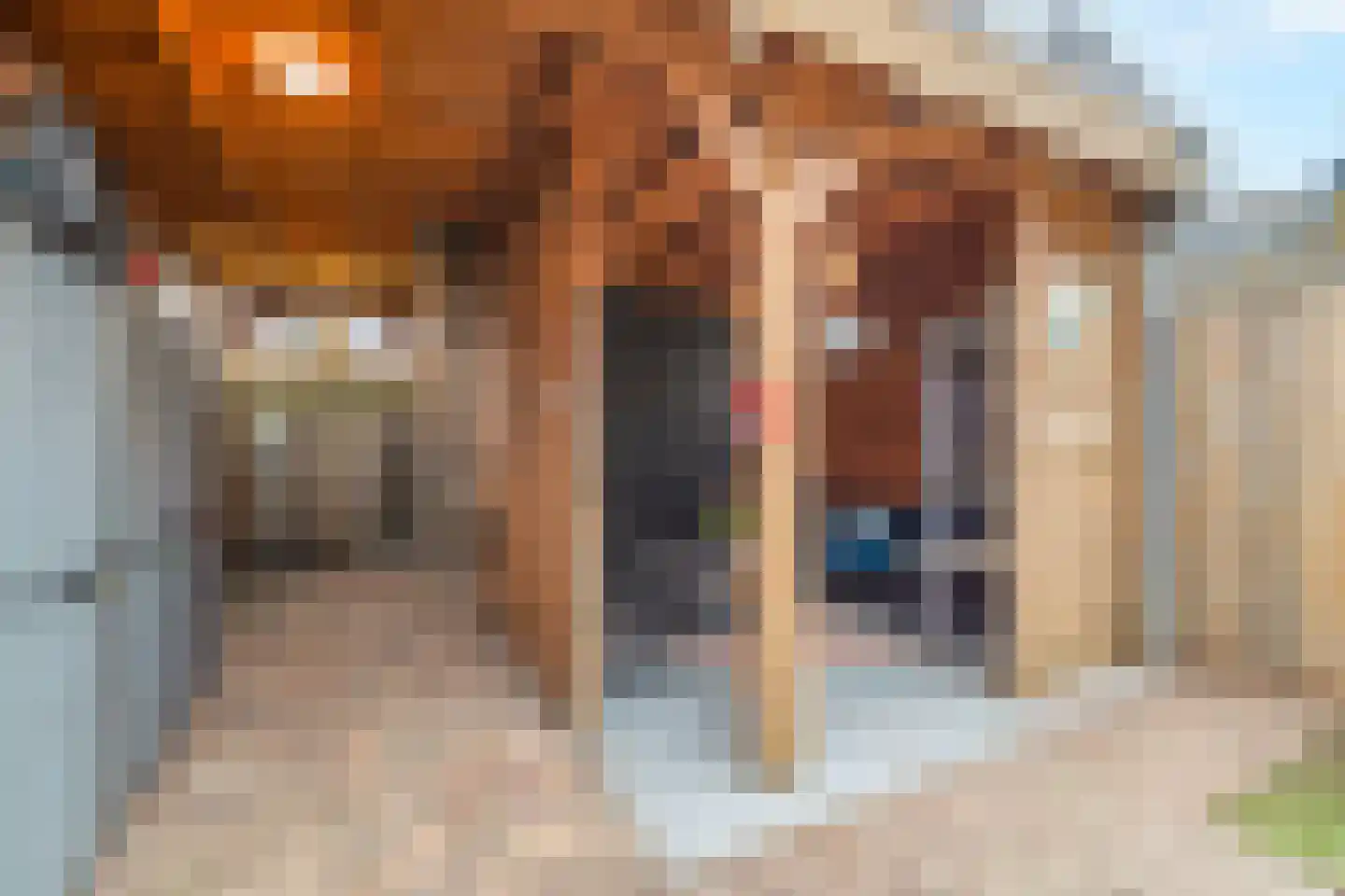 Keizerskroon 4 Breezand thumbnail 26