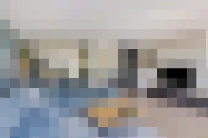 Keizerskroon 9 Nootdorp thumbnail 12