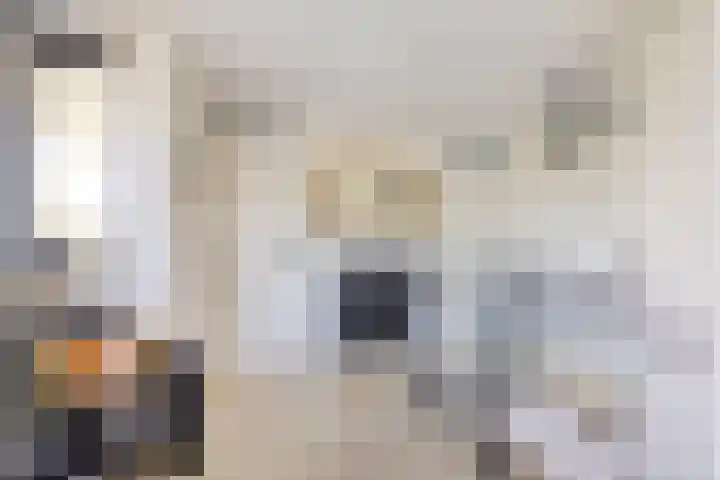 Keizerskroon 9 Nootdorp thumbnail 24