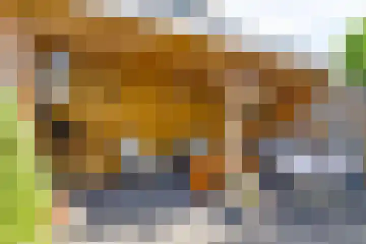 Keizerskroon 9 Nootdorp thumbnail 38