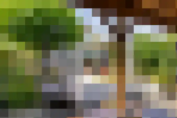 Keizerskroon 9 Nootdorp thumbnail 39
