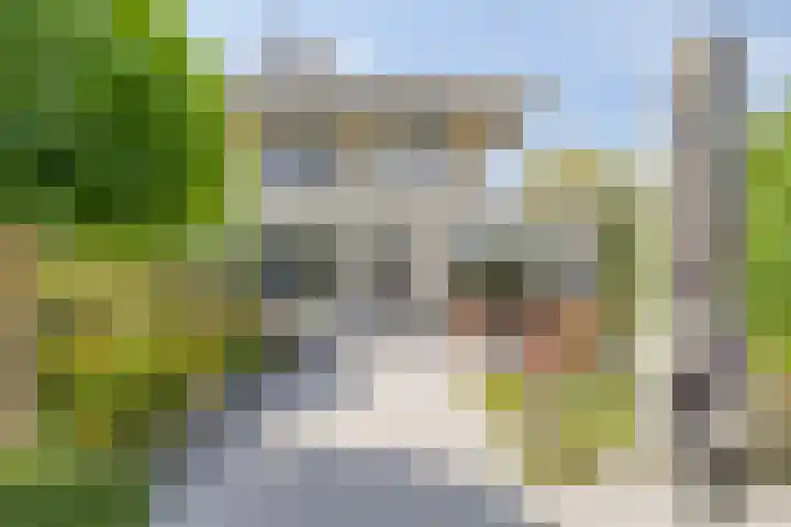 Keizerskroon 9 Nootdorp thumbnail 41