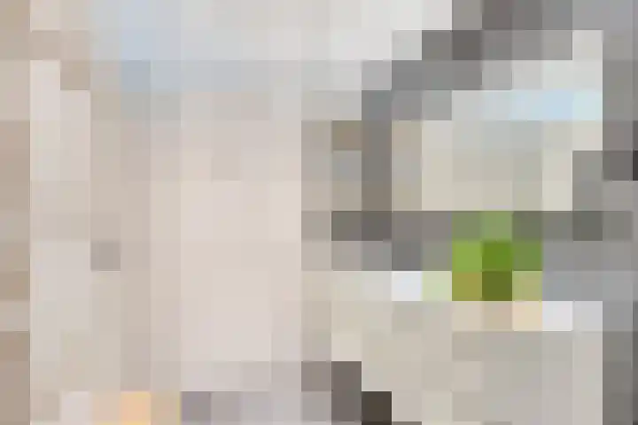 Keizerskroon 9 Nootdorp thumbnail 5