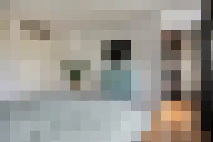 Keizersmantel 21 Breda thumbnail 16
