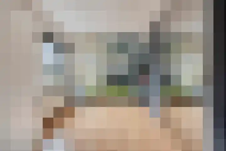 Keizersmantel 21 Breda thumbnail 17