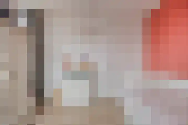 Keizersmantel 21 Breda thumbnail 23