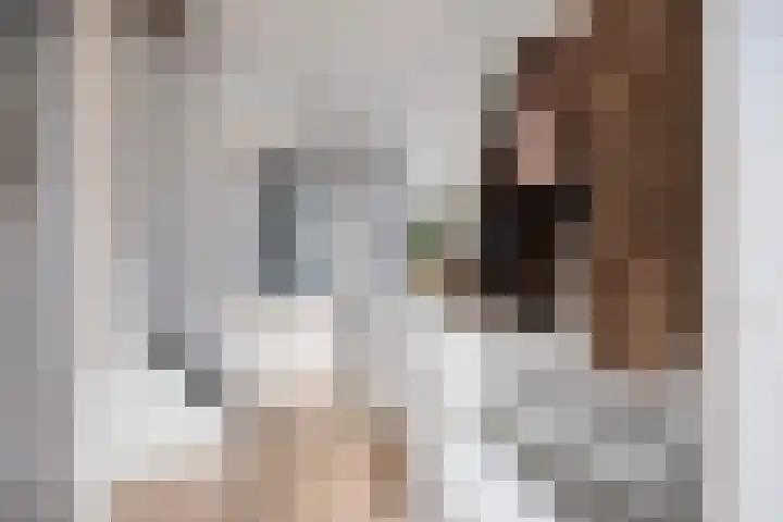 Keizersmantel 21 Breda thumbnail 24