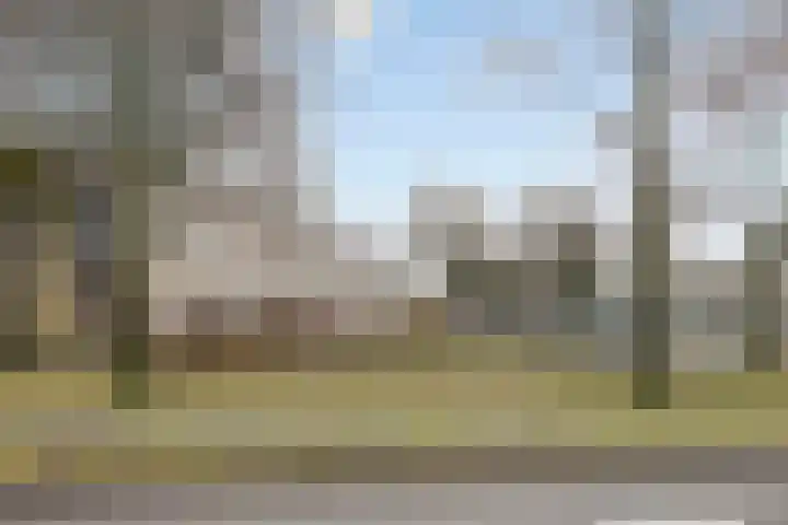 Keizersmantel 21 Breda thumbnail 30