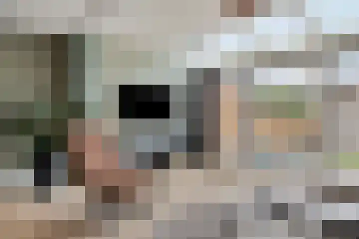 Keizersmantel 21 Breda thumbnail 5
