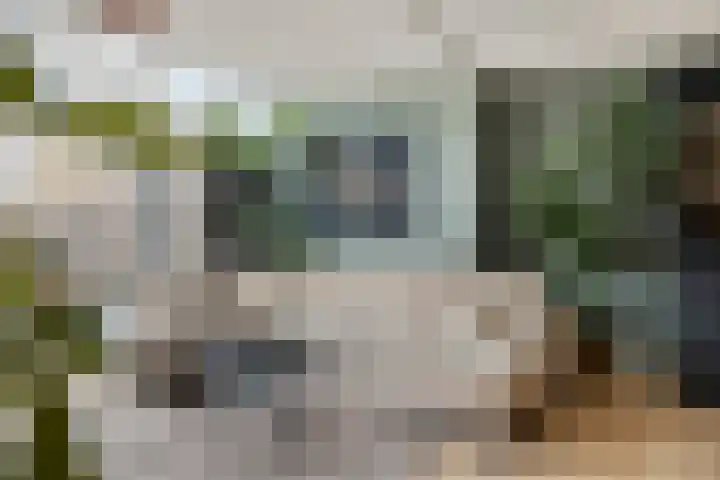 Keizersmantel 21 Breda thumbnail 6