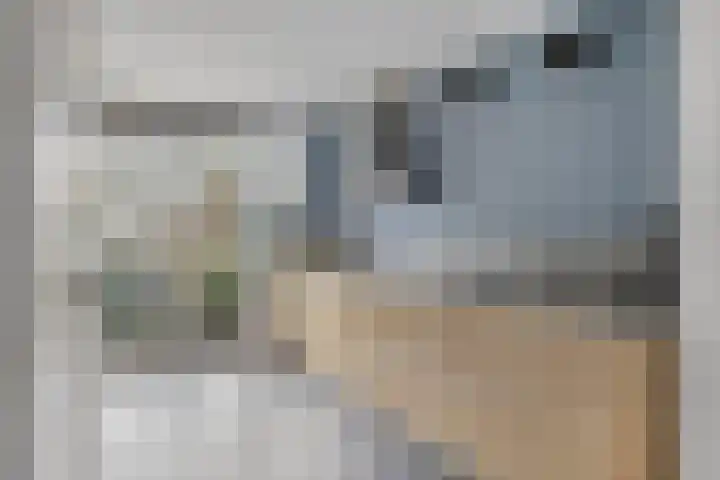 Keizersmantel 21 Breda thumbnail 8