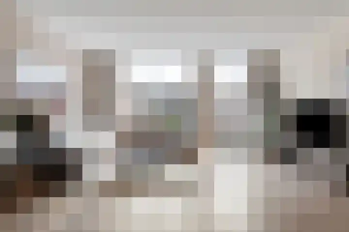 Keizersmantel 40 Someren thumbnail 12