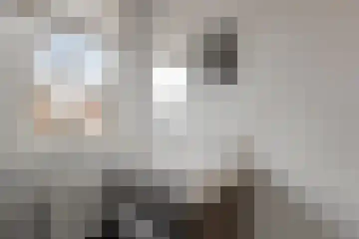 Keizersmantel 40 Someren thumbnail 29