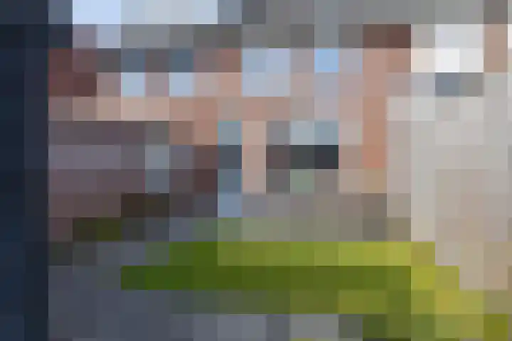 Keizersmantel 40 Someren thumbnail 34