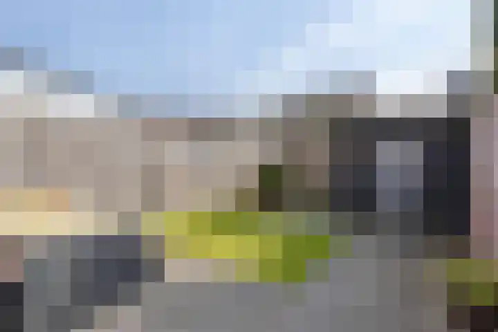 Keizersmantel 40 Someren thumbnail 35