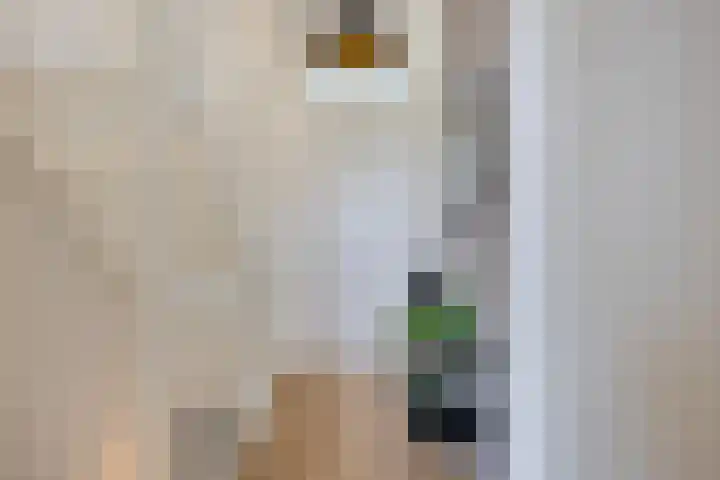 Keizersmantel 48 Someren thumbnail 20