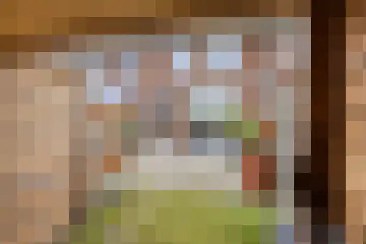 Keizersmantel 48 Someren thumbnail 31