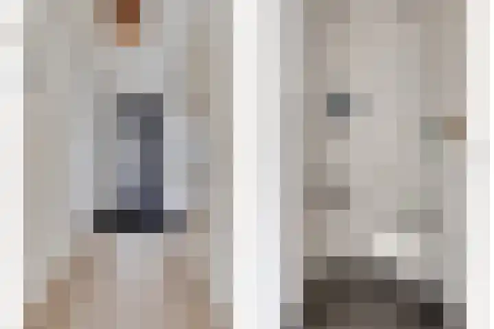 Keizersmantelzoom 10 Pijnacker thumbnail 10
