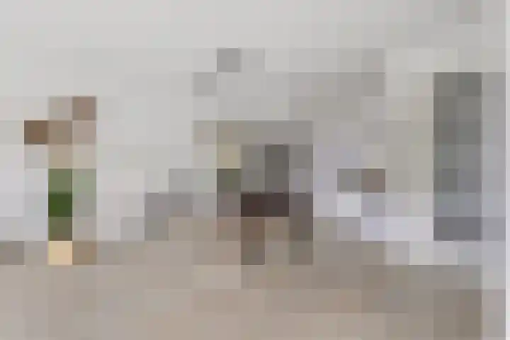 Keizersmantelzoom 10 Pijnacker thumbnail 13