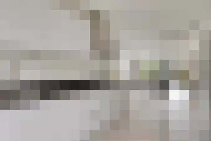 Keizersmantelzoom 10 Pijnacker thumbnail 15